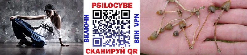 Купить Ельня Галлюциногенные грибы Cubensis